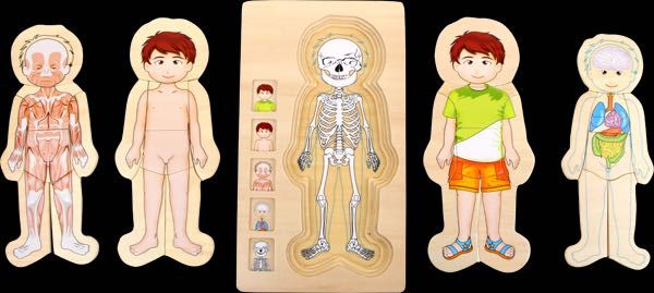 Puzzle warstwowe – anatomia Tim - Likwidacja sklepu