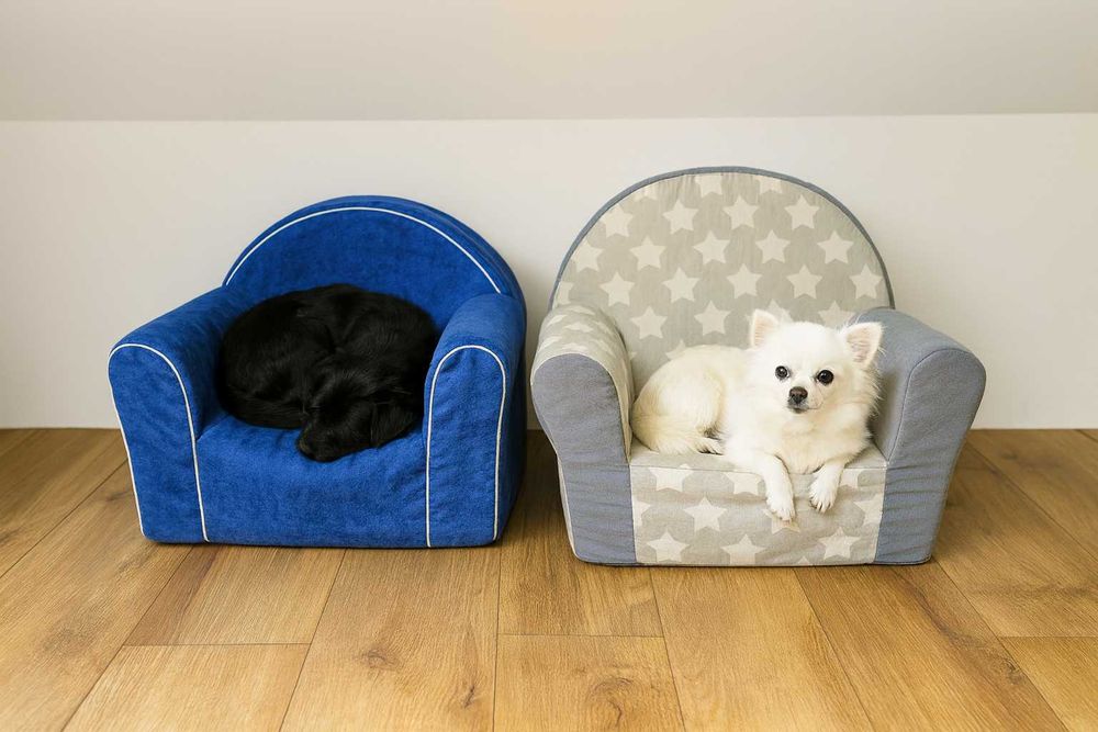 Brutus Royal Dog - Hotel dla Zwierząt - Opieka nad Pieskami Psi Hotel