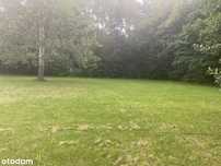 Sprzedam wyjątkową działkę z aleją zabytkową i starodrzewiem 3900m²