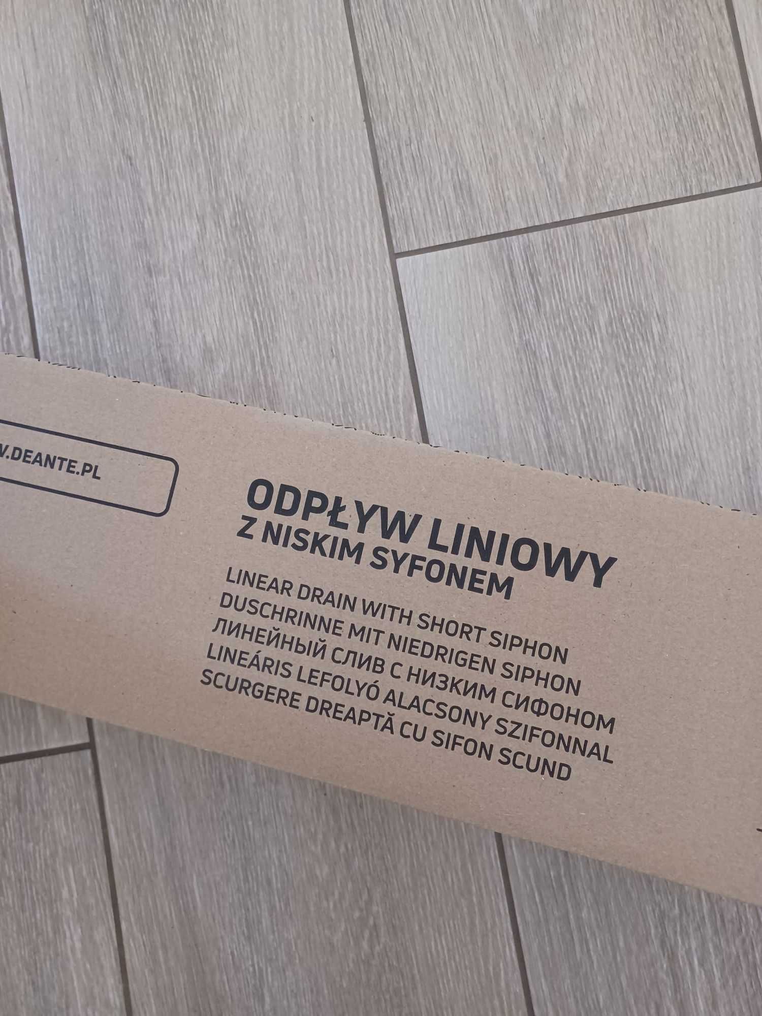 Deante Odpływ Liniowy Z Niskim Syfonem 100cm