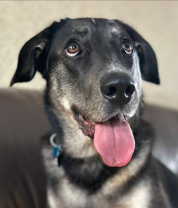 Magiczna, wspaniała - Altana!