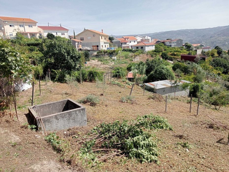Terreno em Enxames, Santa Cruz do Douro