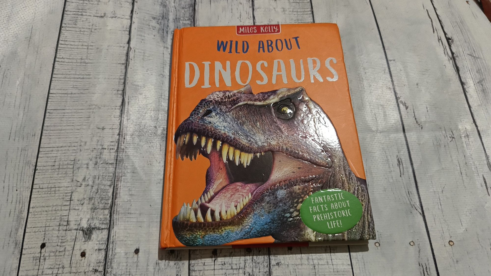 Дитяча книга англійською Wild About Dinosaurs Miles Kelly.