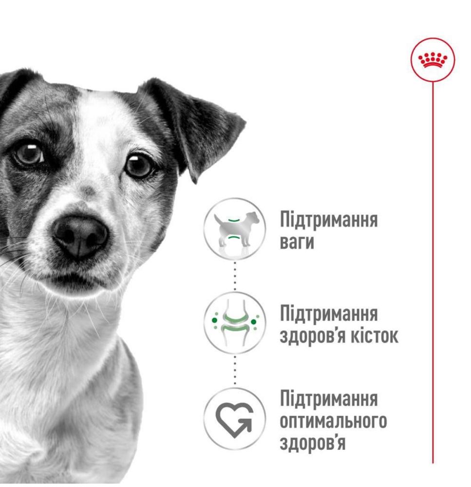 2кг Корм на вагу Mini Adult Royal Canin для собак малих порід. СВІЖИЙ!