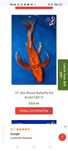 Karp koi Long Fin Butterfly selekcja Royal Fin zooPirania Olsztyn