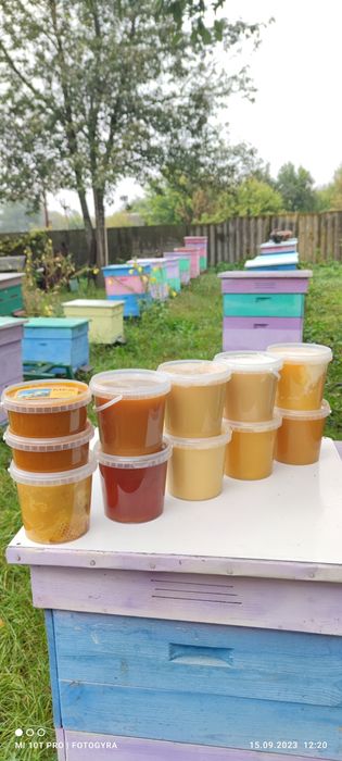Мед з власної пасіки 2025року,,різнотрав'я, опт/роздріб