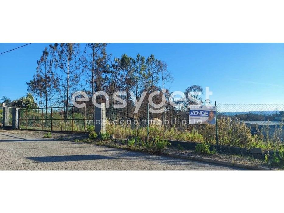 Terreno Urbano soalheiro com 1928m2 na Caranguejeira- Leiria