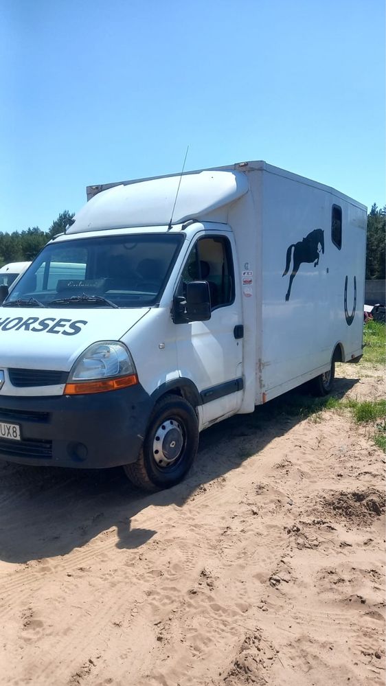 Koniowóz Renault Master