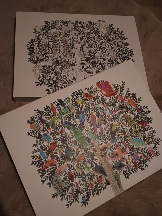 WOWACOM Intuos Pro PTH-660 Paper edition