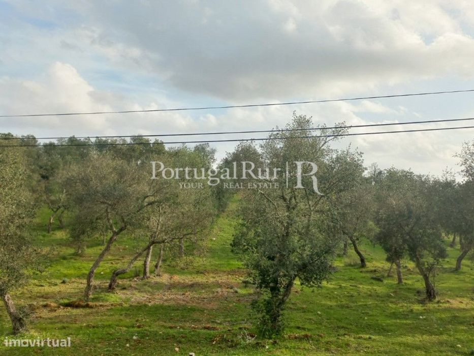 Terreno em Serpa com Viabilidade para Construção
