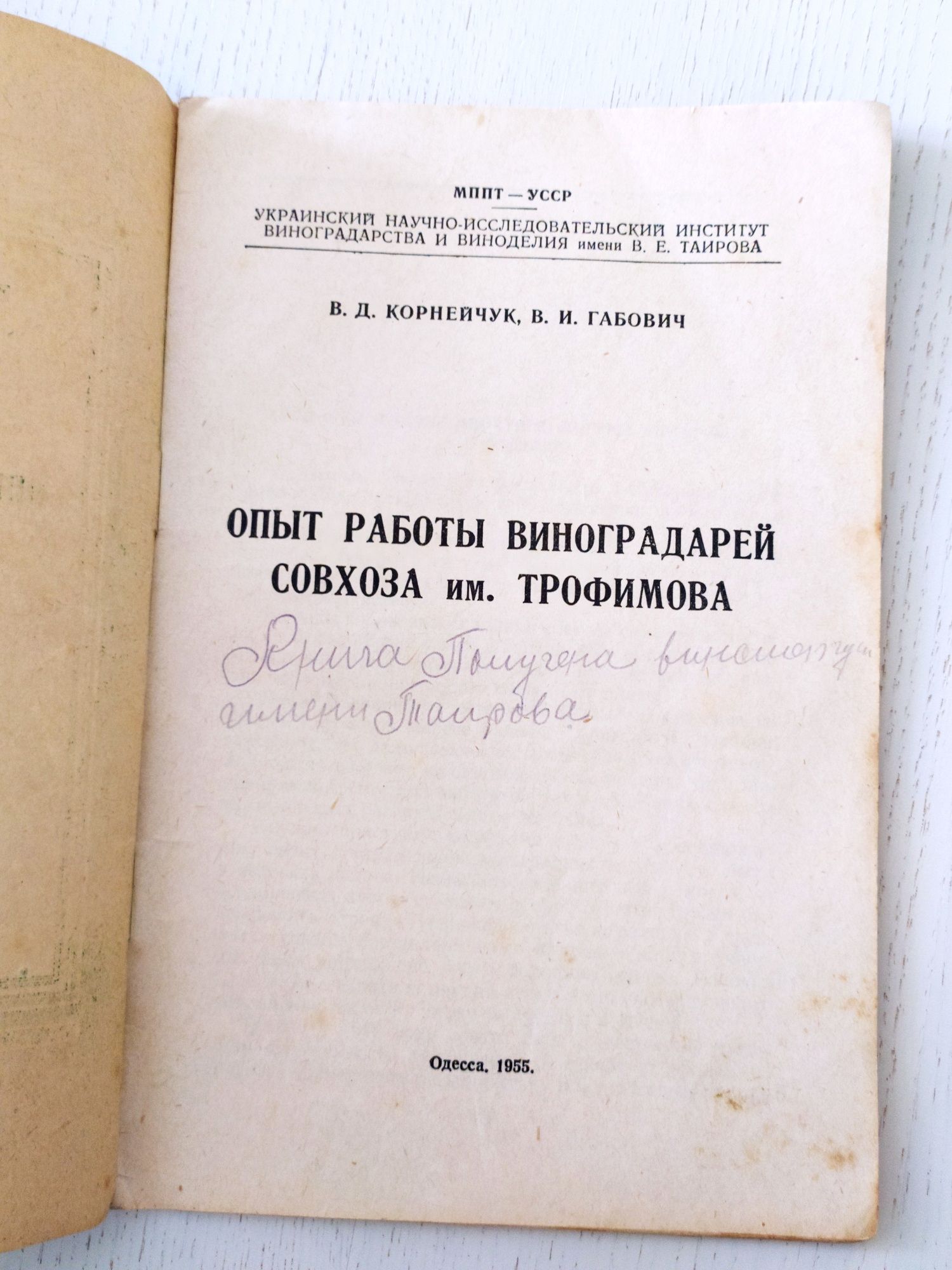 ВИНОГРАДНИК Уход и Обработка почвы Виноградарство виноградная лоза