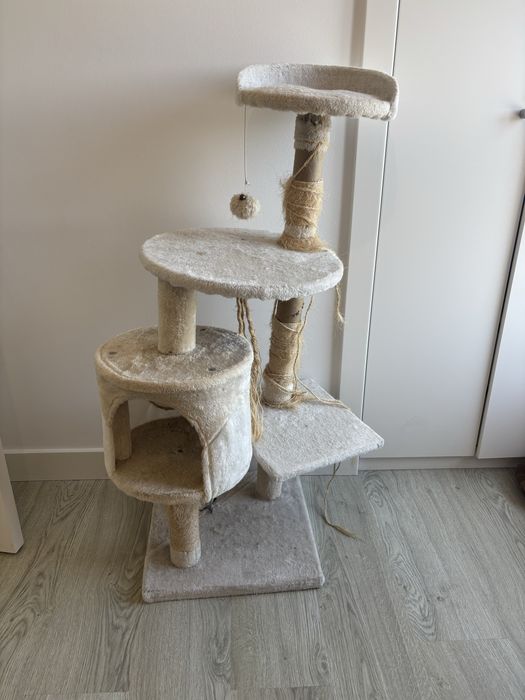 Arranhador de gato