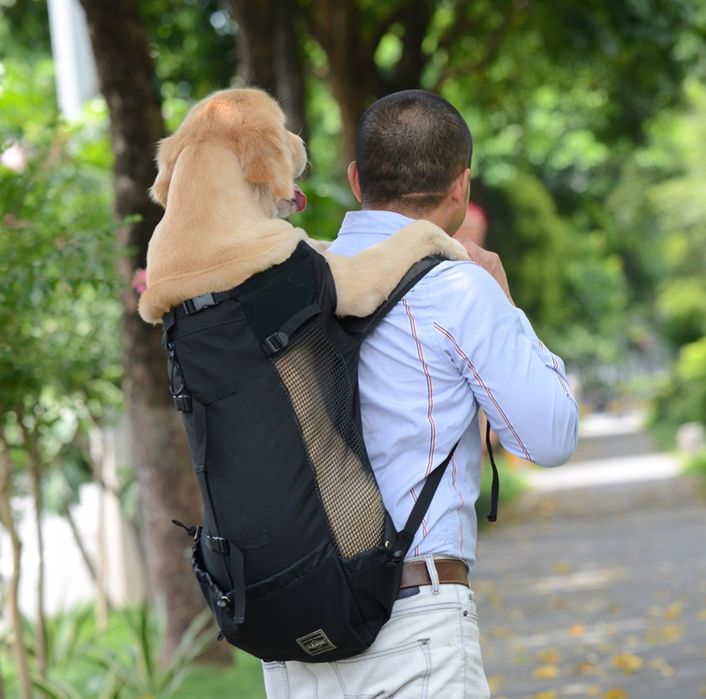 Plecak transporter dla psa Czarny M L na rower motocykl