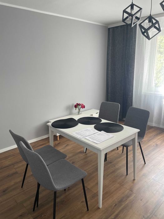 Nowo wyremontowane mieszkanie z pokojem na wynajem