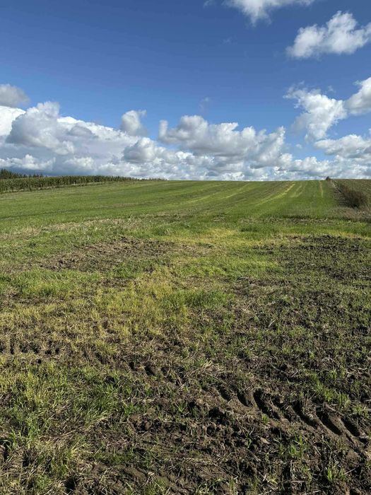 Ziemia rolna, działka rolna 11,53 ha Ełdyty Małe, gmina Lubomino