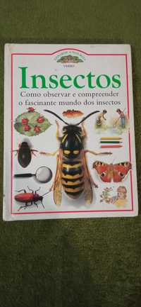 Insectos - explorar a natureza - verbo
