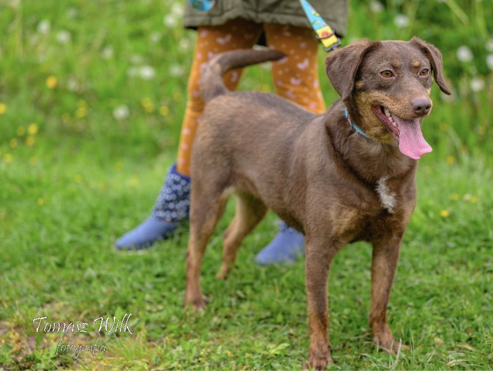 Fiona młoda piękność do adopcji