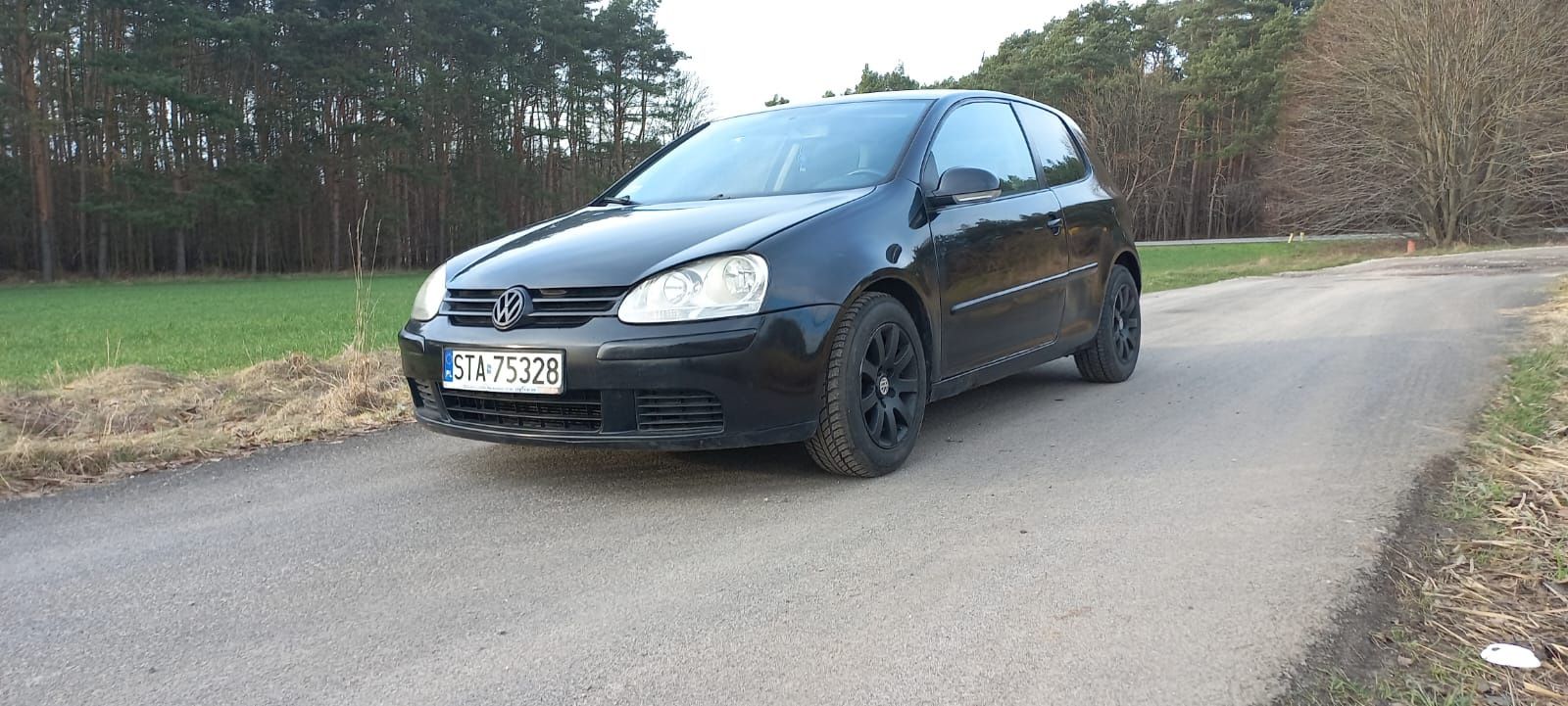 Volkswagen Golf V