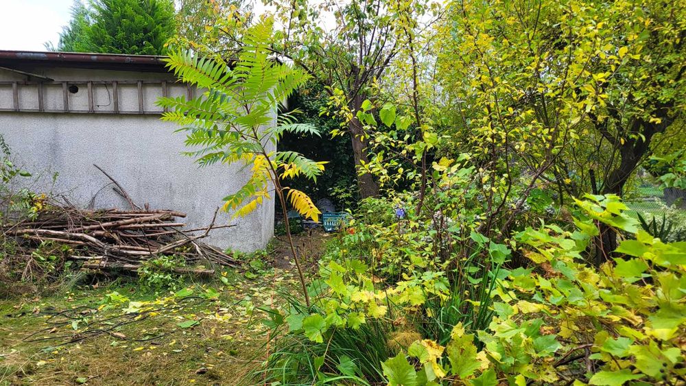 Działka ogrodnicza ROD M. Reja, Gdynia Obłuże