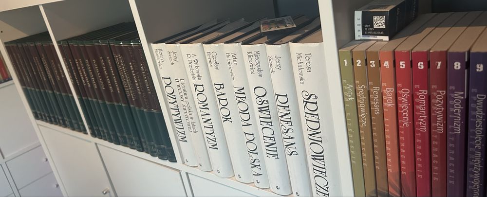 Zestaw książek  o historii literatury