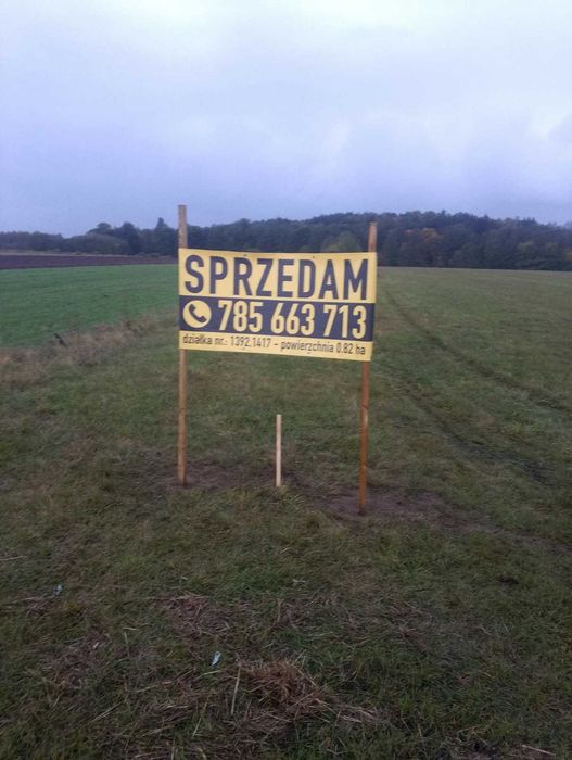 Działka 0,73ha Karwice koło Opoczna - pastwisko +las