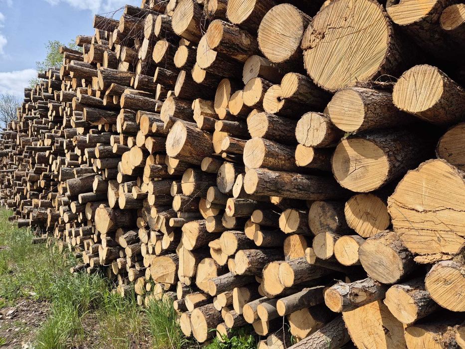 Drewno kominkowe liściaste mix Dąb Grab Buk Brzoza Jesion Akacja