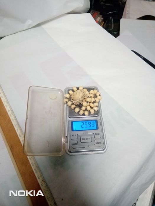 Чотки кістка на 33 намистини