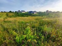 Продам земельну ділянку Молодіжне 26 сот
