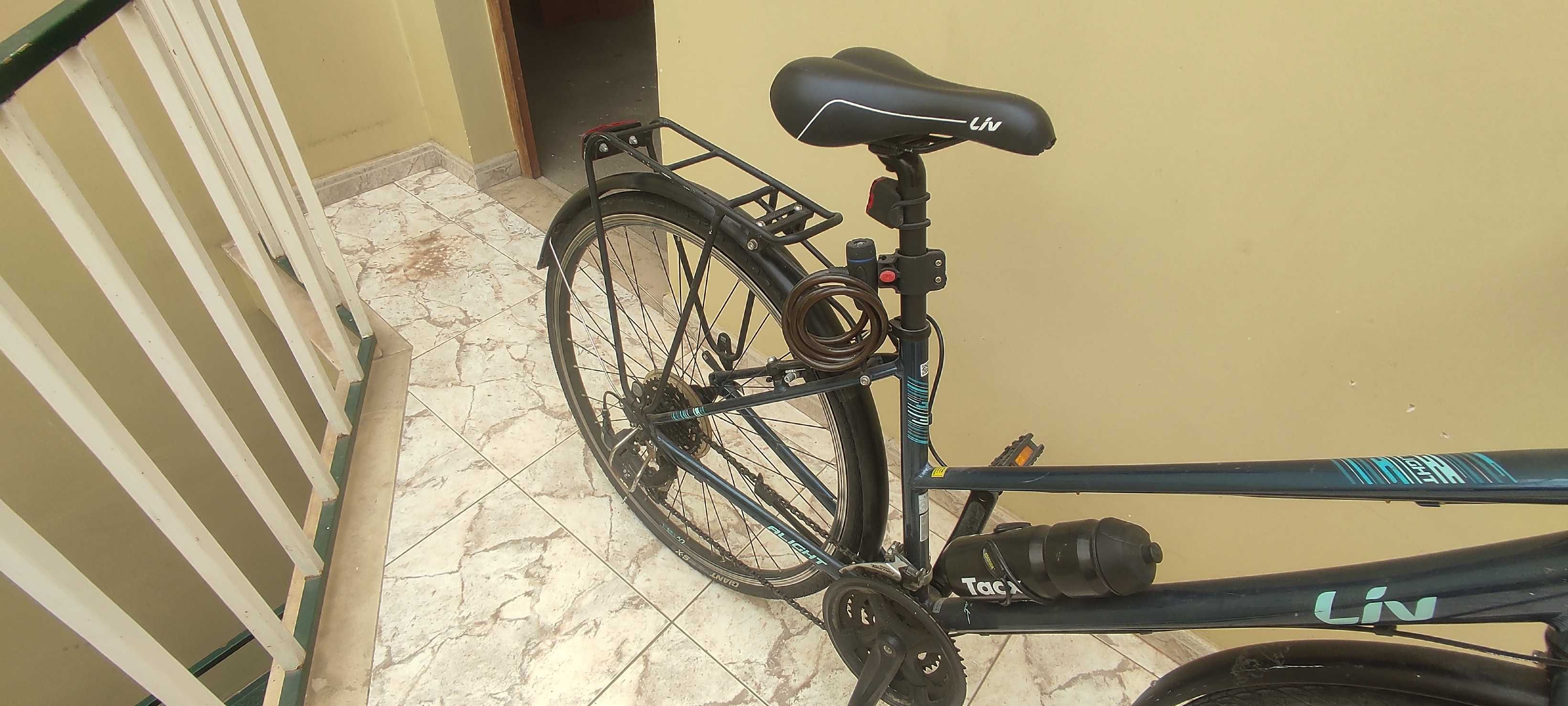 Bicicleta vintage