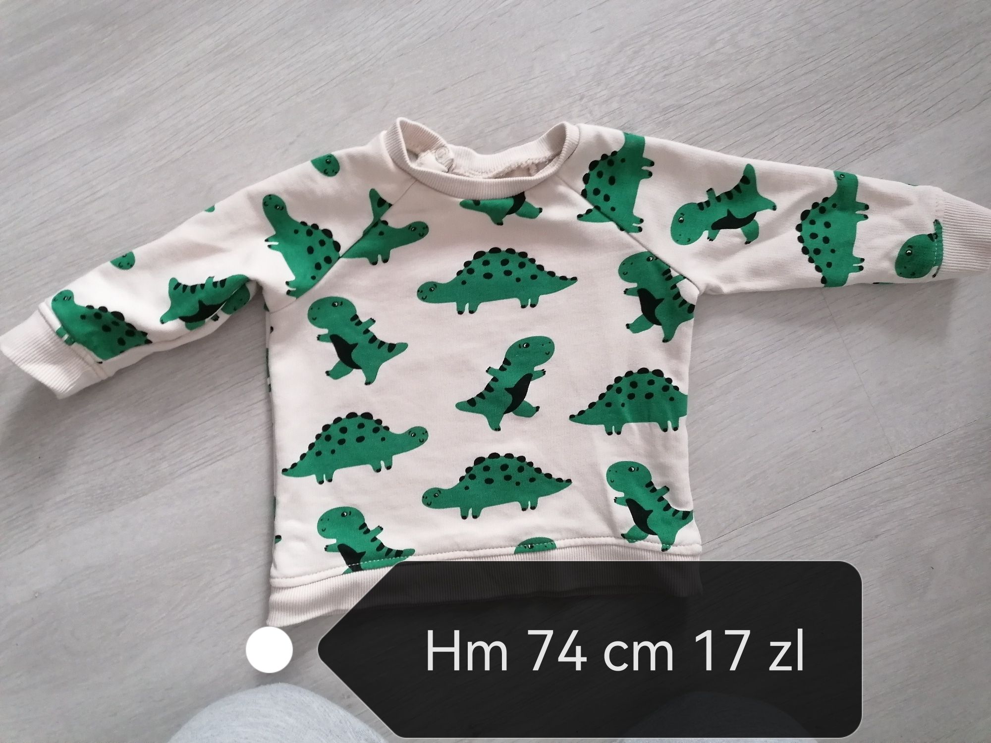 Bluza w dinozaury hm 74 cm