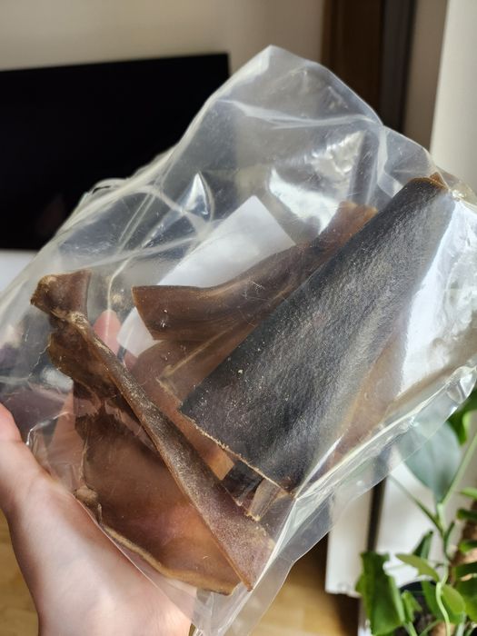 Suszona skóra wielbłąda dla psa naturalny gryzak 5szt