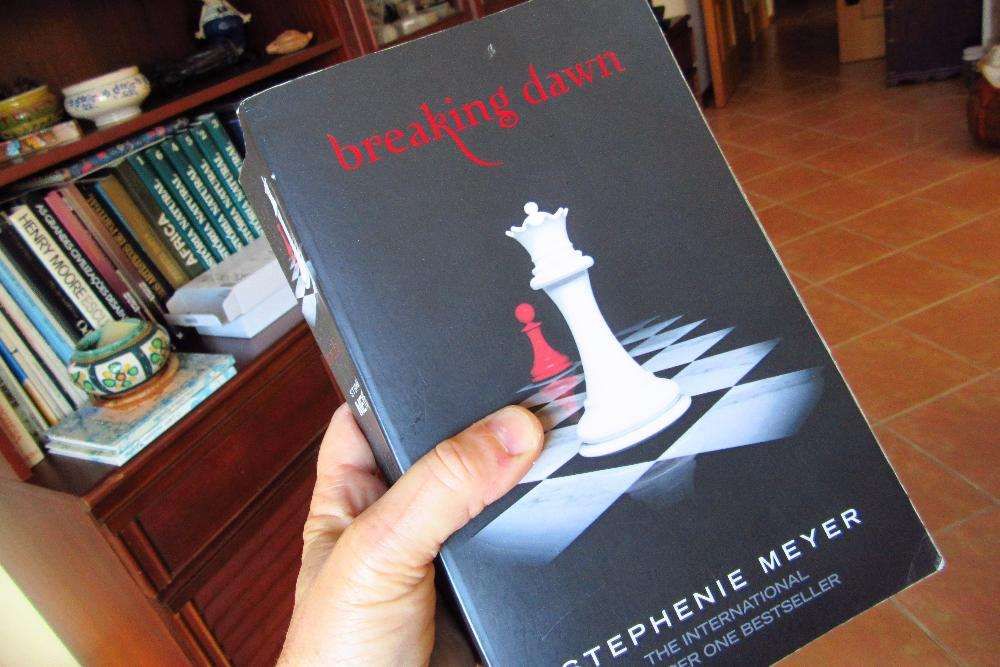 BAIXA DE PREÇO Livro fantástico. "Breaking dawn"