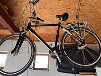 Rower Batavus ukraina