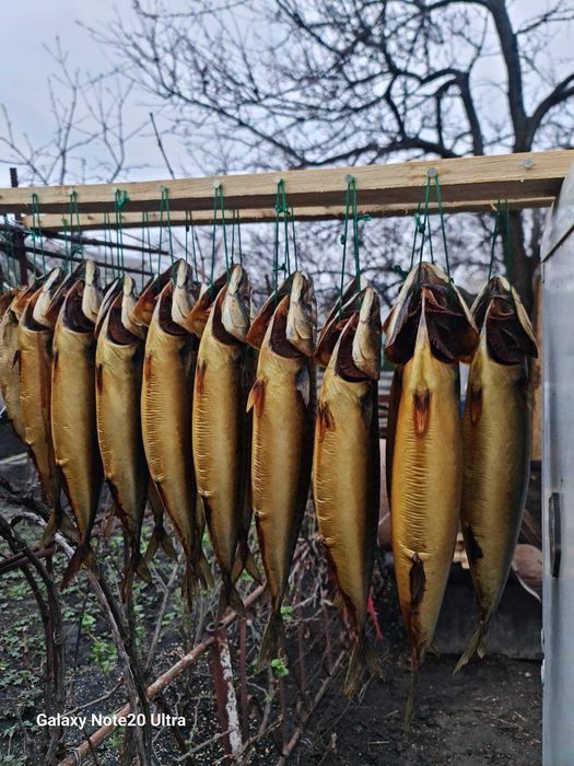 Рыба натурального копчения