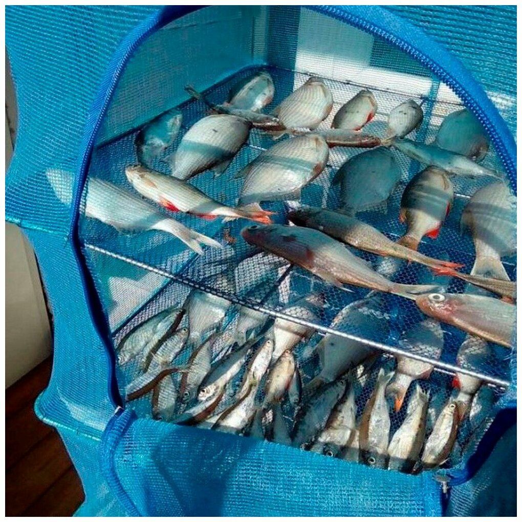 Сетка для сушки рыбы грибов овощей фруктов мяса Подвесная сушилка
