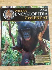 Książka. Encyklopedia zwierząt dla dzieci