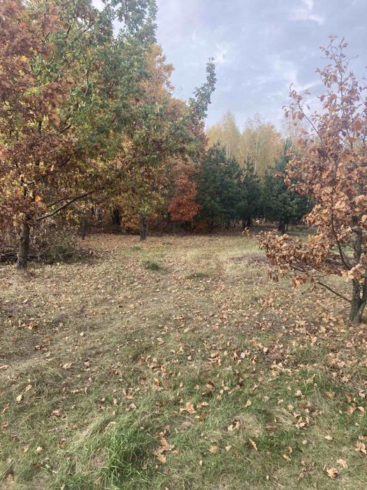Земельна ділянка 18,5 соток Пірнове
