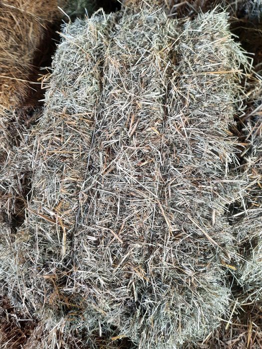 Sprzedam słomę  z przenżyta i owsa żyta