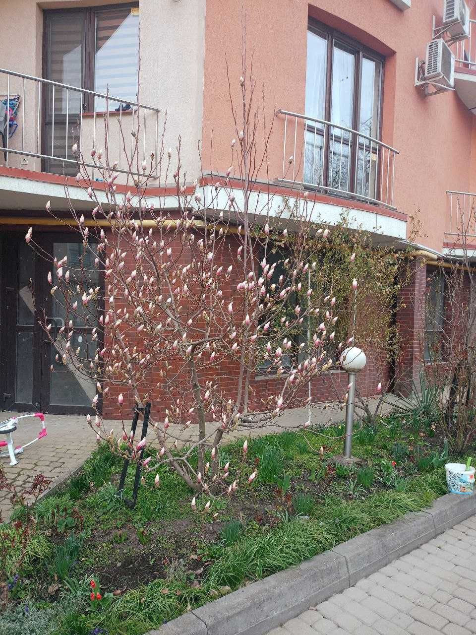 2 км кв.+ гараж, центр.