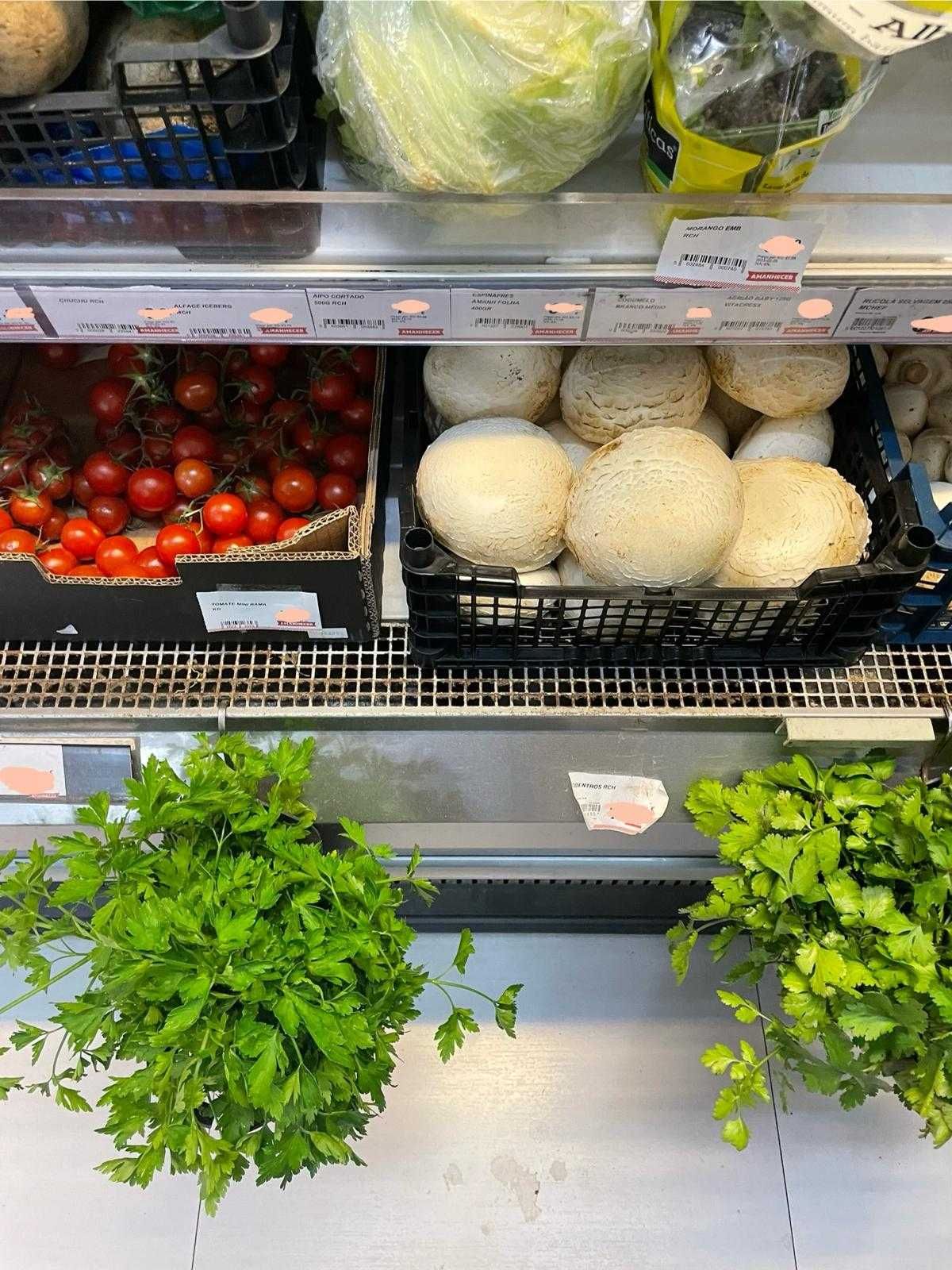 Conjunto de murais de legumes e laticinios ARNEG, modelo baby Panamá