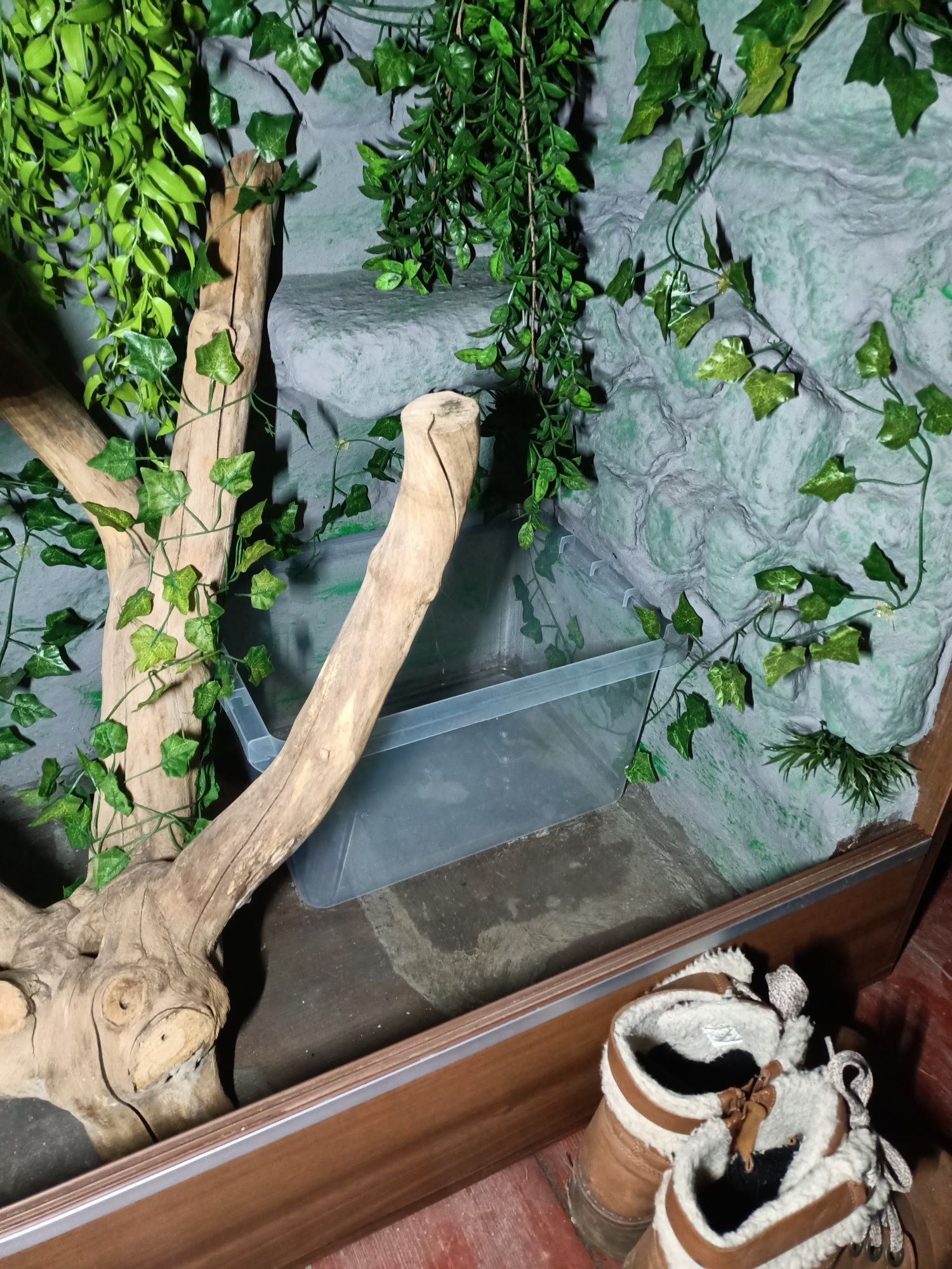 Terrarium z płyty meblowej