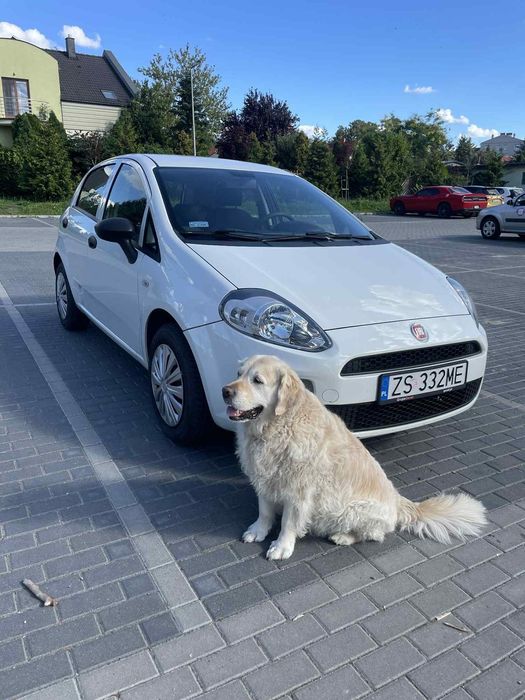 Fiat Punto Fiat Punto 2018 – ostatni rocznik, stan jak igła, salonowy środek