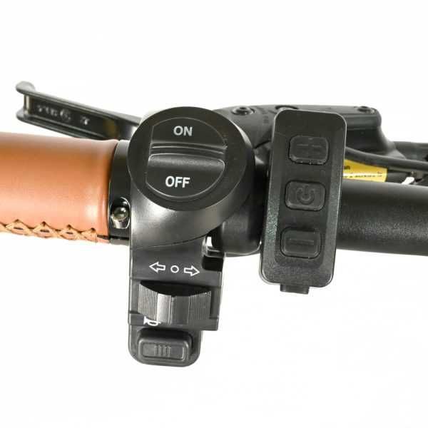 Bicicleta elétrica dois lugares caravana 1000w ou 2000w BAOLUJIE