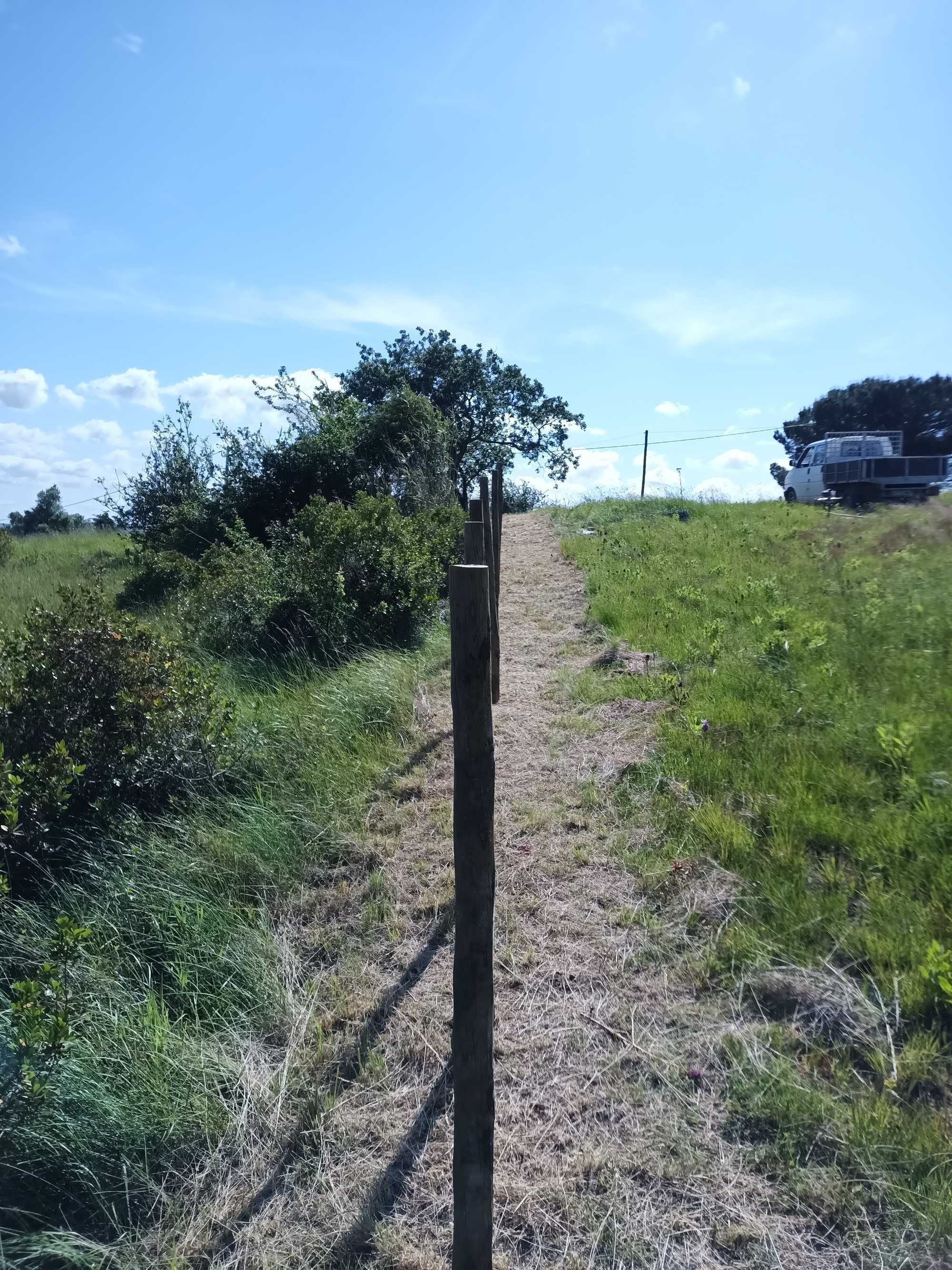 Limpeza de terrenos e manutenção de jardins.