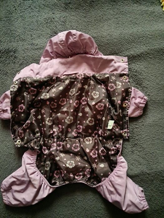 Одежда для маленьких собак.