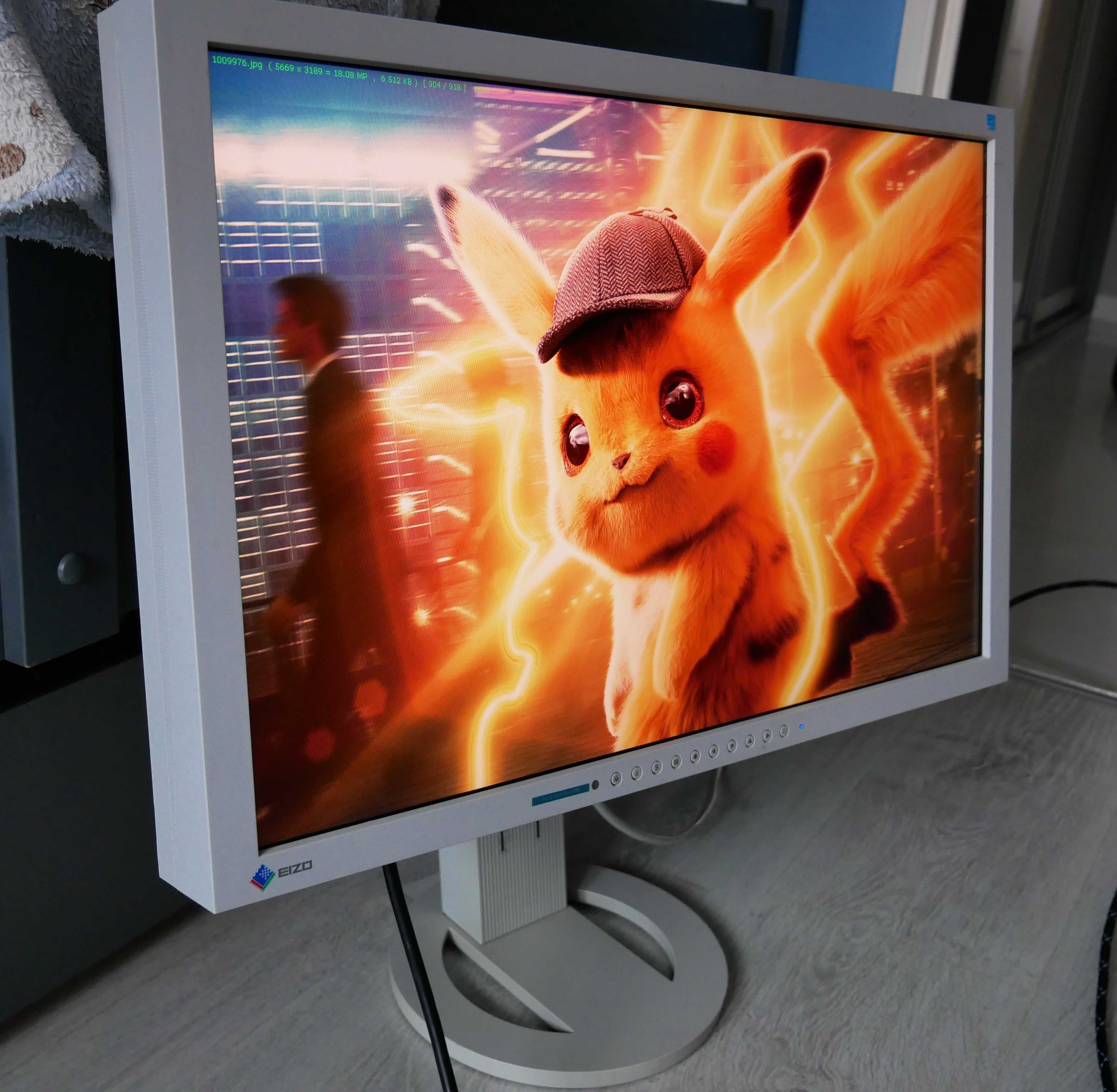 Monitor Eizo FlexScan S2433W 24” WUXGA – VA, DisplayPort, Pivot