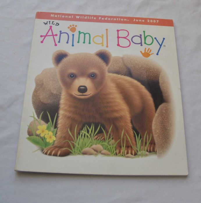 Wild Animal Baby - po angielsku książeczka