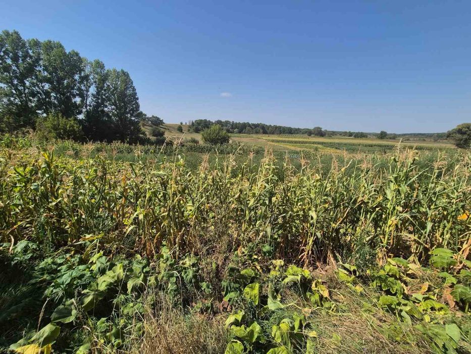 Продаж будинку с.Острів.Білоцерківський район