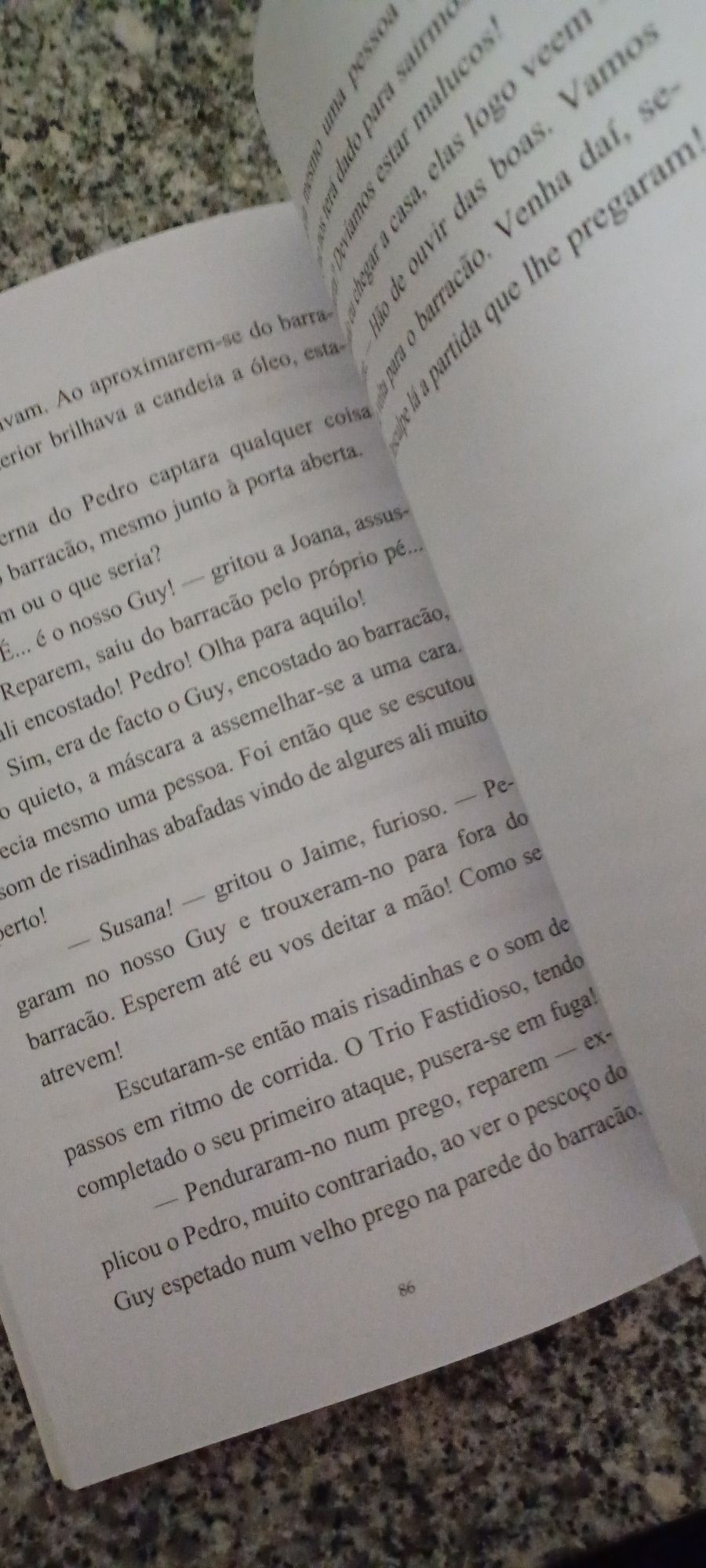 2 livros do Inspetor Max novos