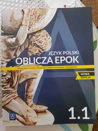 język polski oblicza epok 1,1